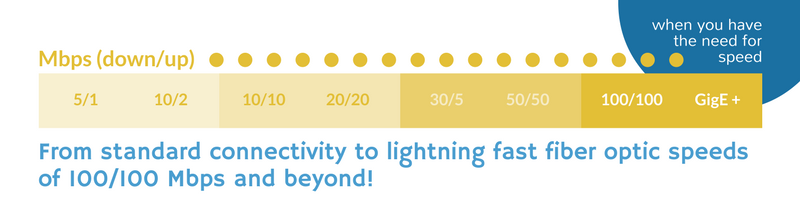 Internet Connectivity from Basic to Lightning Fast Fiber